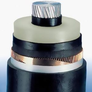 ÿһ�P��|ͨ�^�͉��y�(y��n)