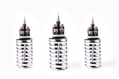 �X�����|